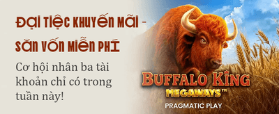 v7bet agent partnership